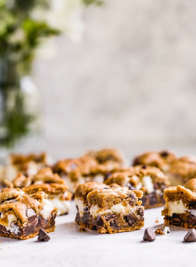 Peanut butter chocolate chip cookie dough layered with cheesecake marshmallow filling