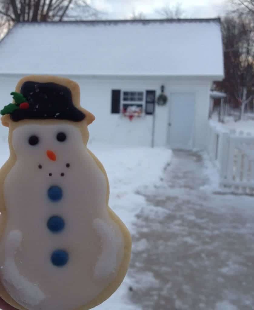 iced butter cookies The Cookie Rookie