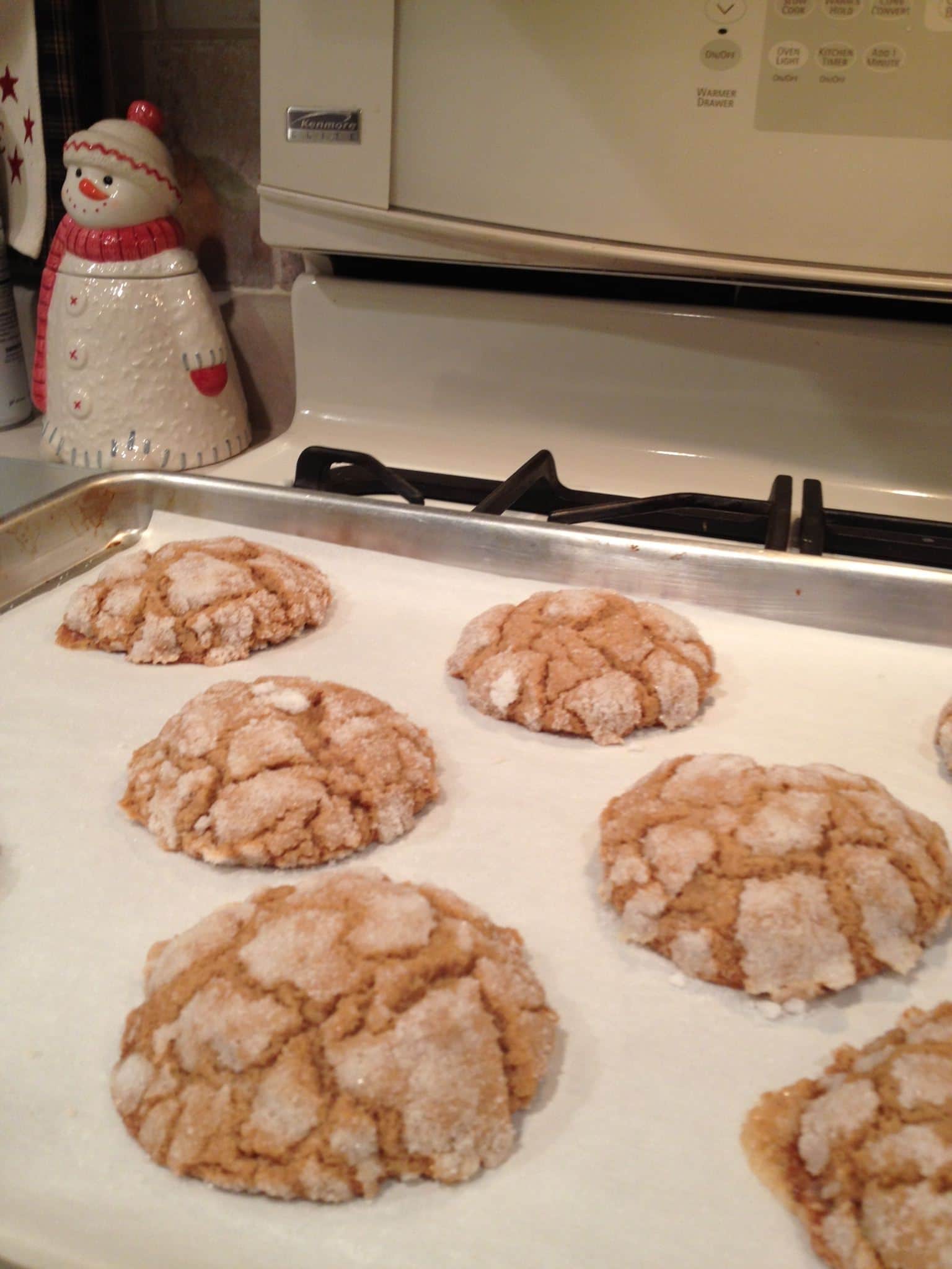 Ginger cookies on a baking sheet, fresh out of the oven.