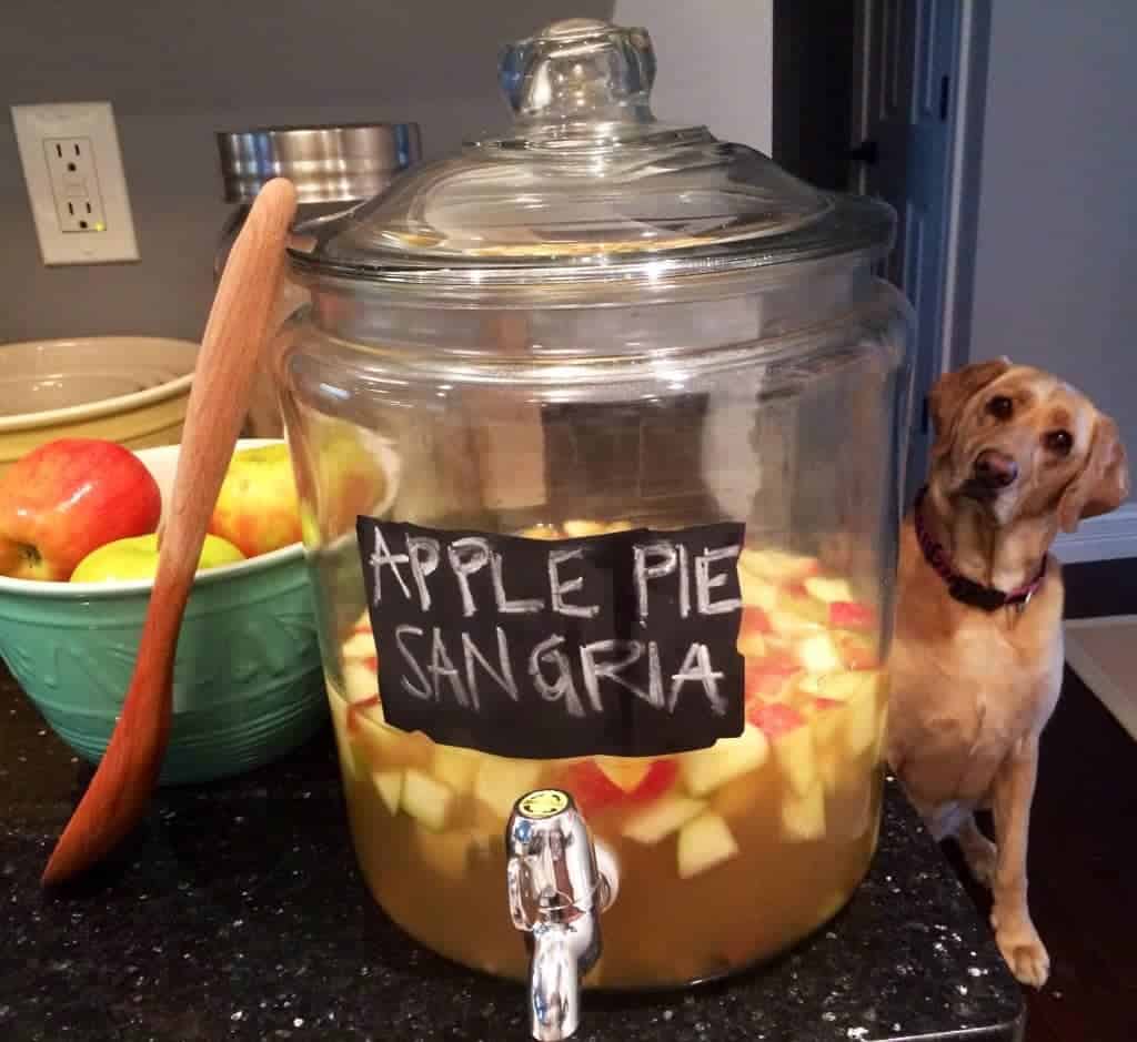 a glass beverage dispenser with apple pie sangria and a yellow labrador dog behind it