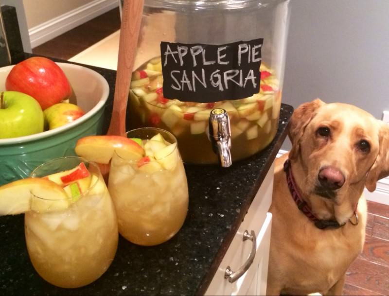Apple Pie Sangria!!! TO DIE FOR. cute puppy too :)
