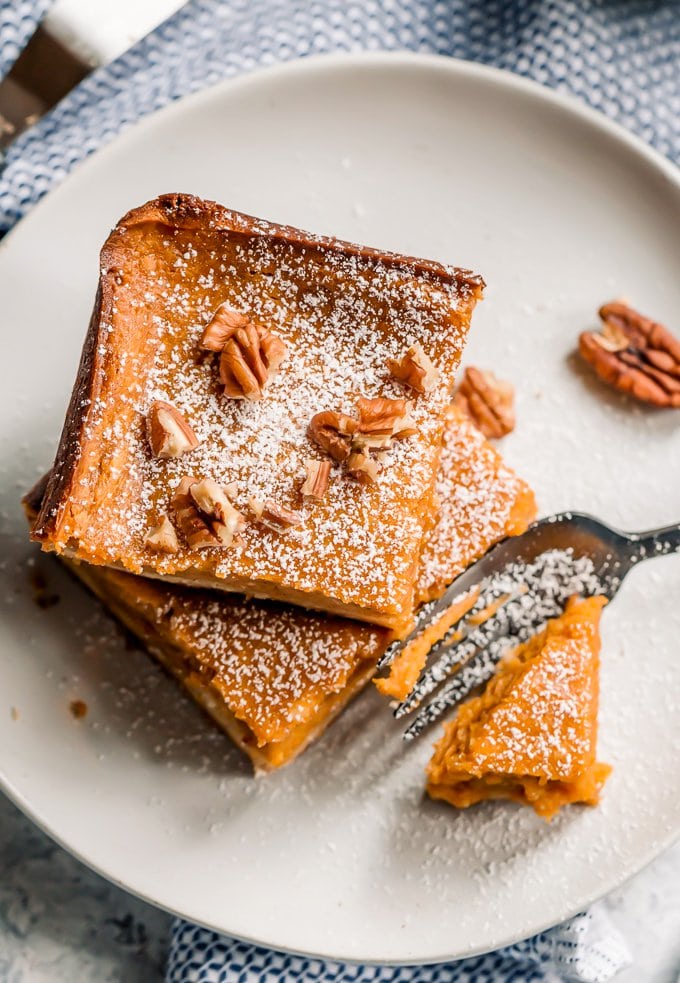 Pumpkin gooey butter cake with powdered sugar and pecans