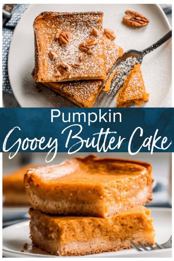 Pumpkin Gooey Butter Cake is a fall dessert recipe, but I like to make (and eat!) this ooey gooey cake year-round! If you don't know what gooey butter cake is, then you NEED to make this recipe ASAP. The combination of pumpkin and the gooey butter cake will blow your mind!