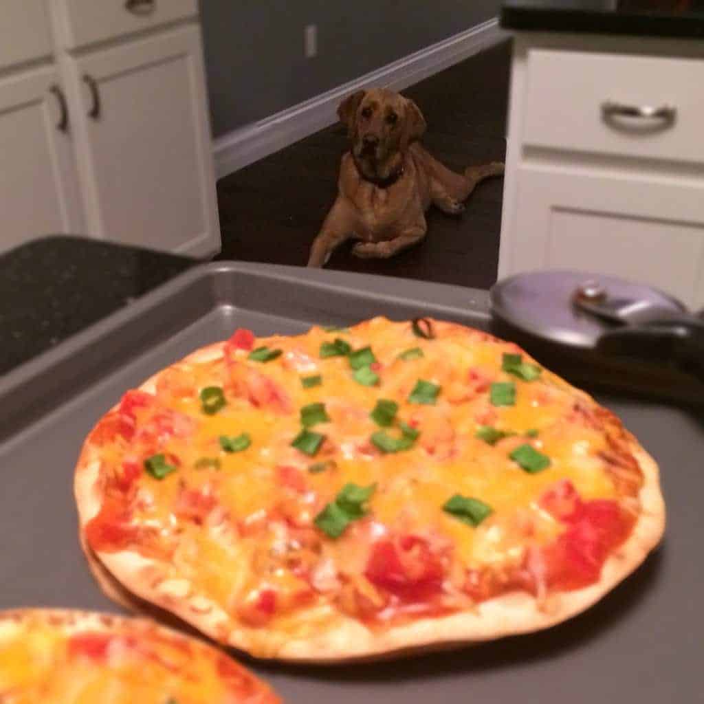 Fresh out of the oven, Chicken Mexican Pizzas are being watched by the loyal watchdog.
