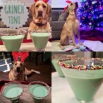 a dog sitting in front of a christmas tree with green martini glasses.