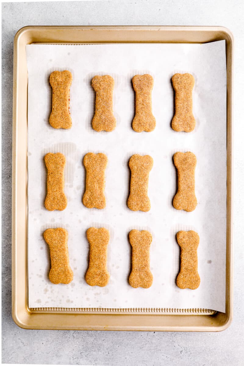 dog treats on baking sheet