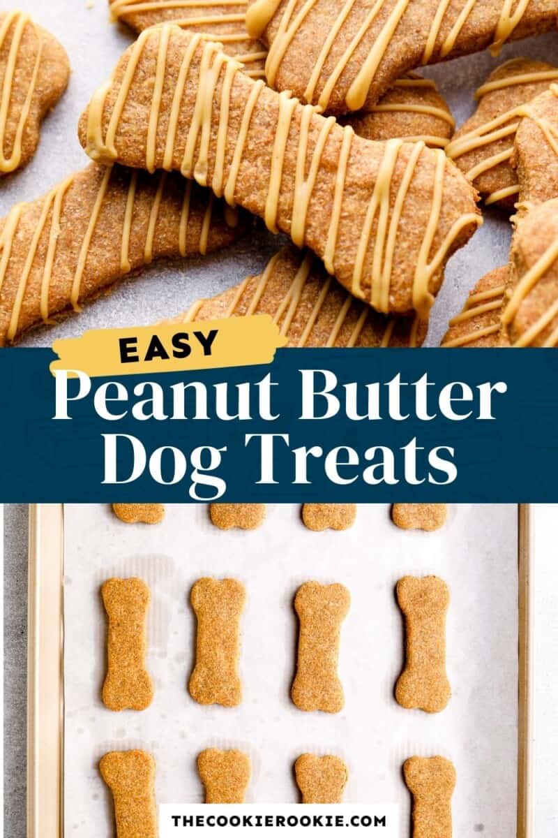 Homemade Dog Treats Recipe Peanut