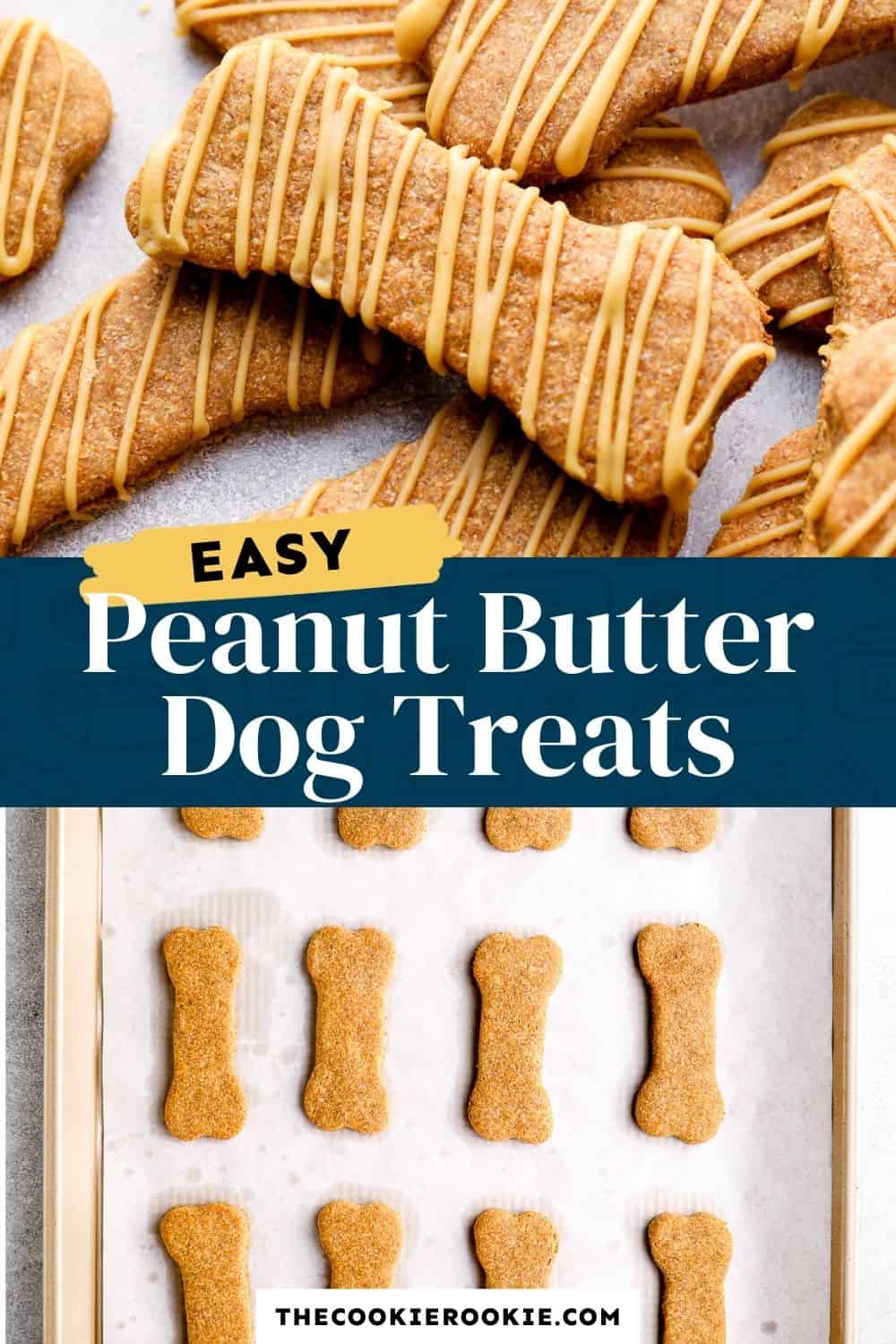 Dog Treat Ideas