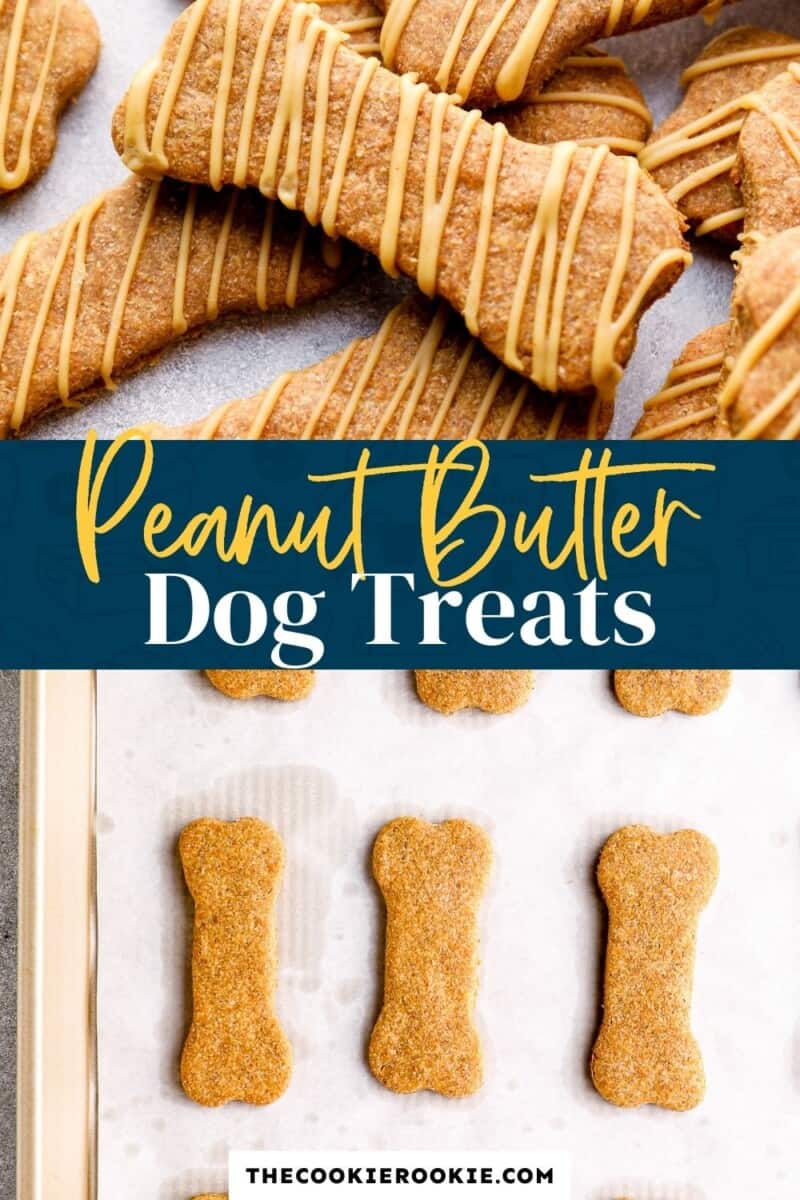 Homemade Dog Treats Recipe Peanut