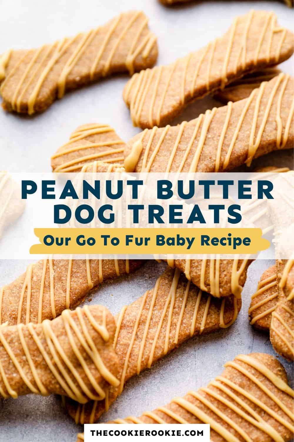 Homemade Dog Treats Recipe Peanut Butter Dog Treats (Howto Video)