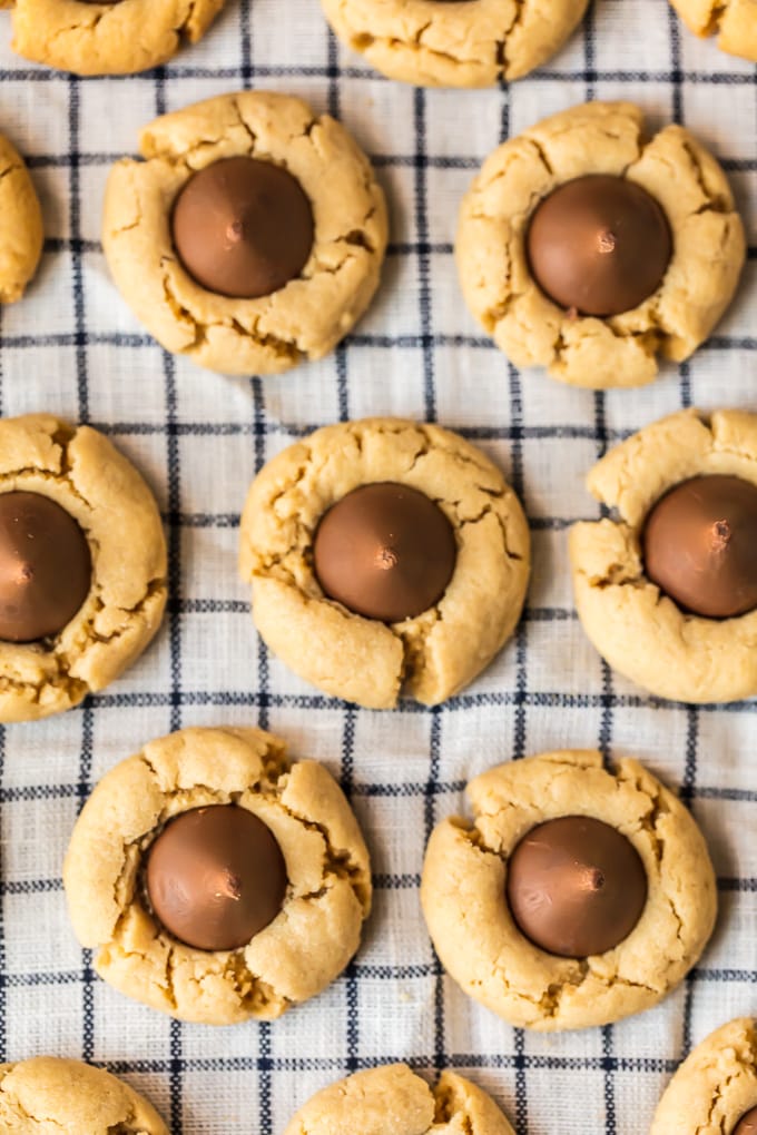 peanut butter kiss cookies viewed from above