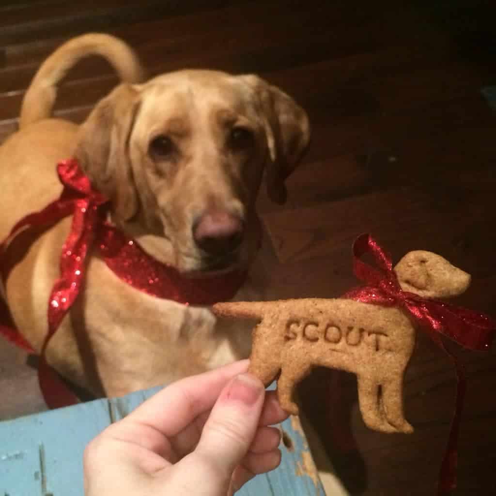 white rice flour dog treats