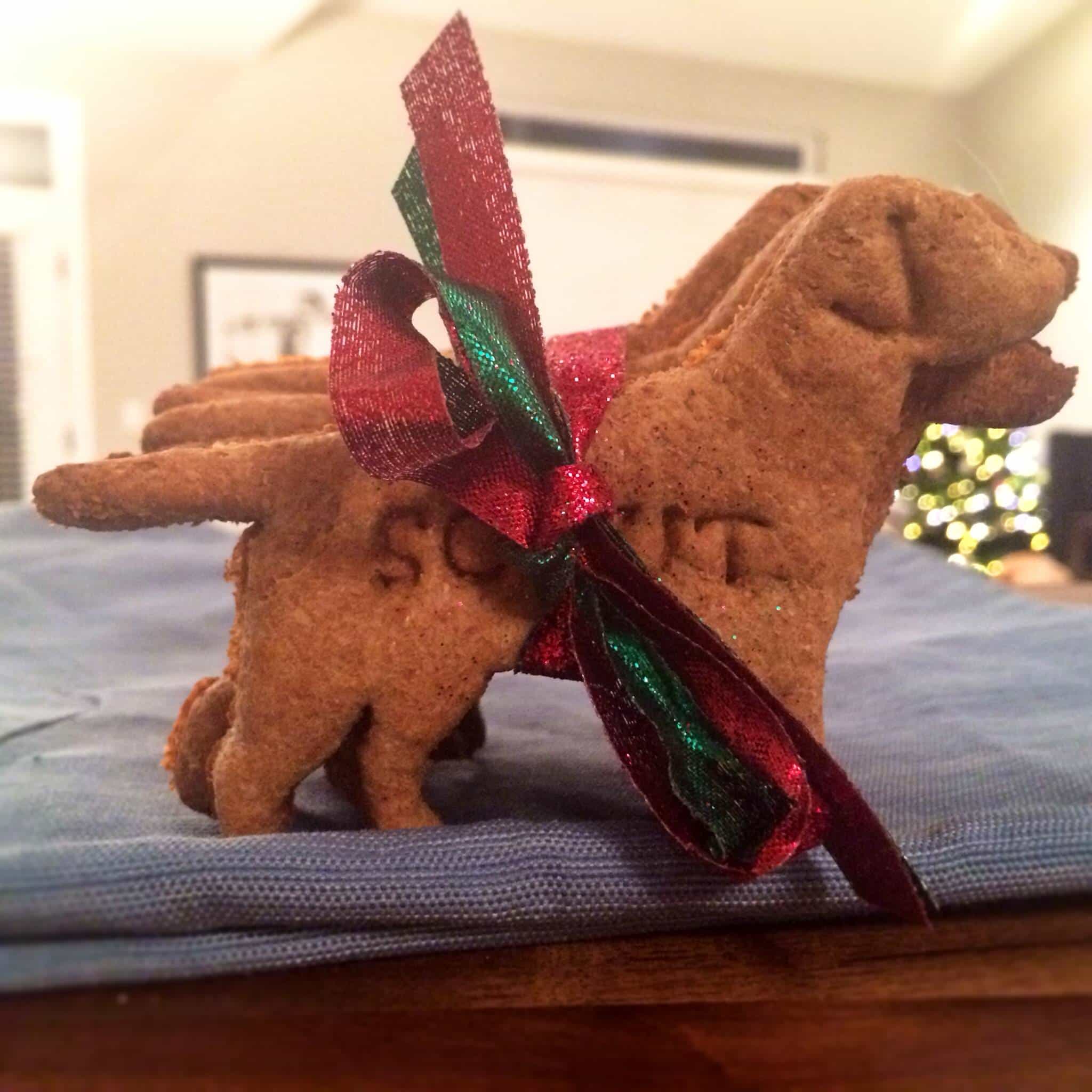Homemade Dog Treats are the best way to show your pet that you love them like family! These Homemade Peanut Butter Dog Treats are an easy dog biscuit recipe that your fur baby would request every week if they could. dog treats wrapped in ribbon