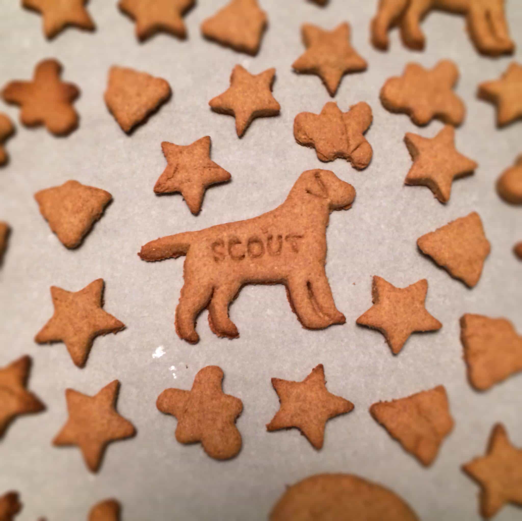simple homemade peanut butter dog treats! making these for my pup for Christmas! The Cookie