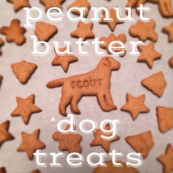 Homemade Dog Treats are the best way to show your pet that you love them like family! These Homemade Peanut Butter Dog Treats are a Dog Biscuit Recipe that your fur baby would request every week if they could. If you've wondered How To Make Dog Treats, it's much easier than you might have thought. Your dog deserves these homemade treats and will be so excited!