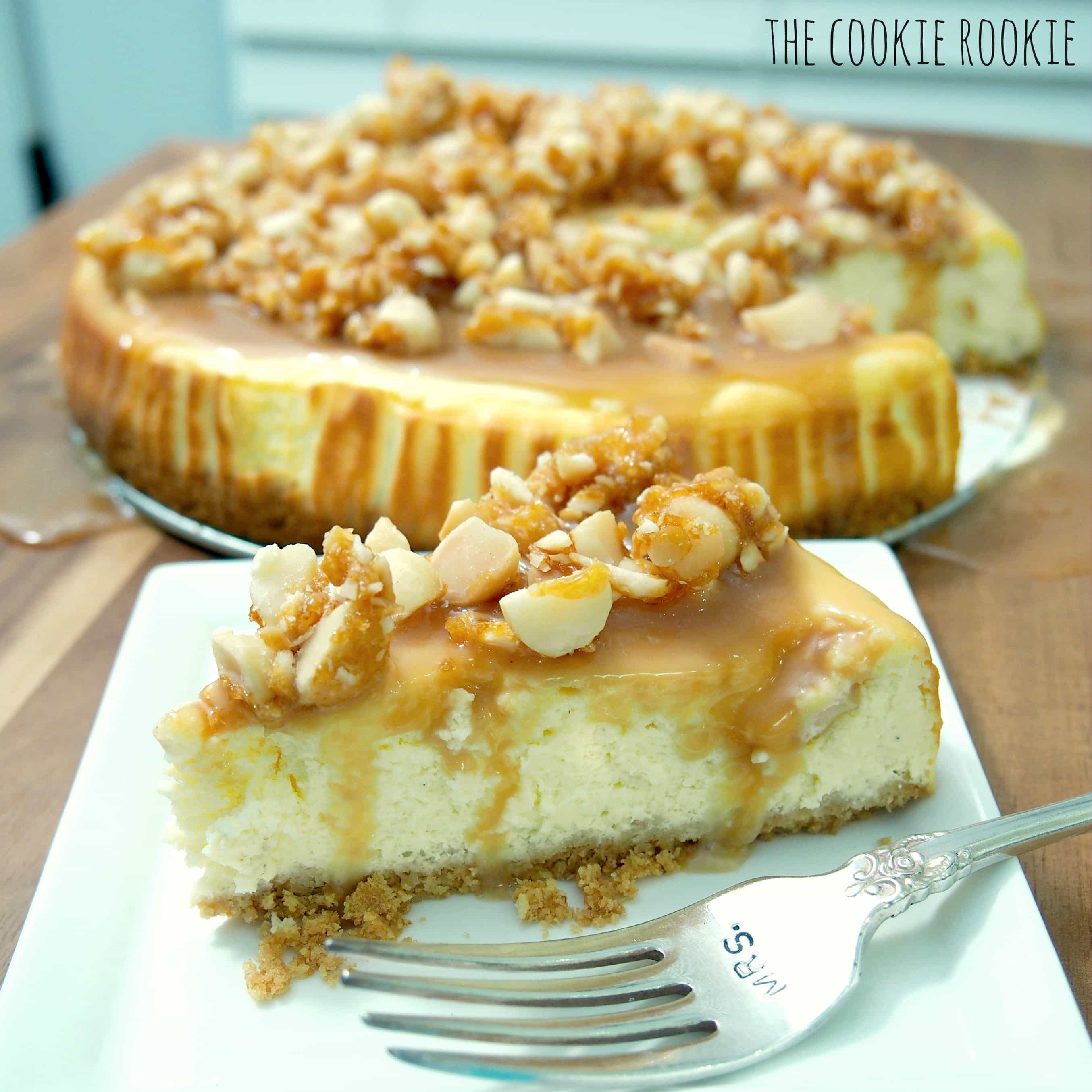 caramel macadamia cheesecake. shockingly easy DECADENT dessert. this is