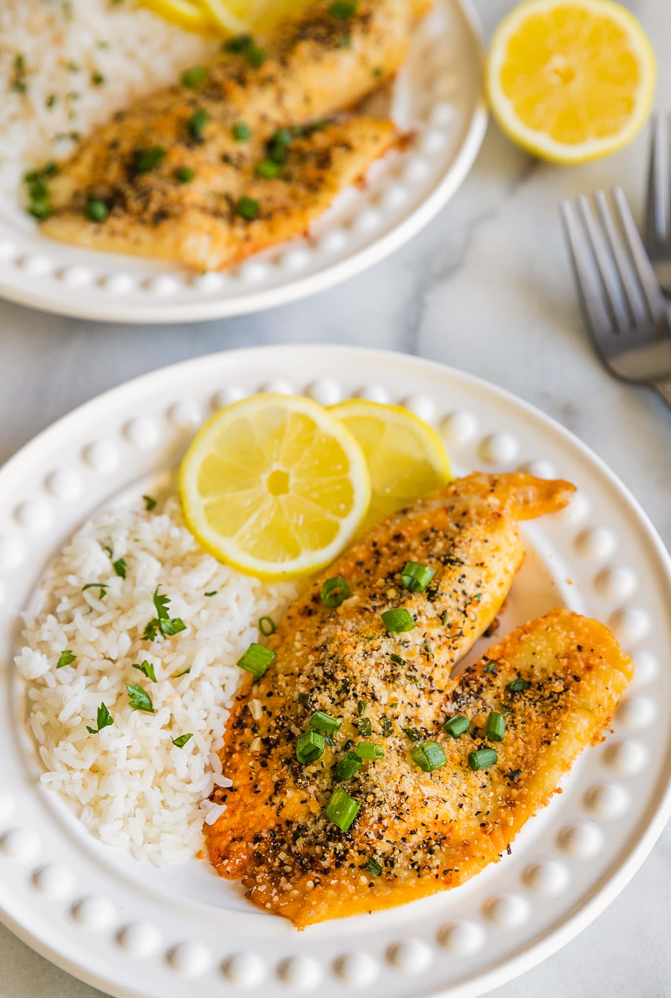 tilapia recipes on plates with rice and lemon