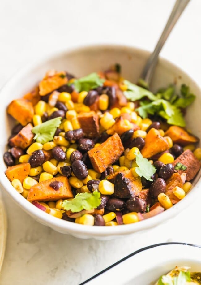 Chicken and Sweet Potato Enchiladas Recipe The Cookie Rookie®