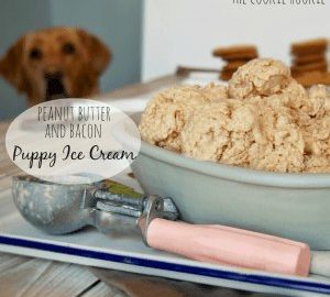 puppy ice cream