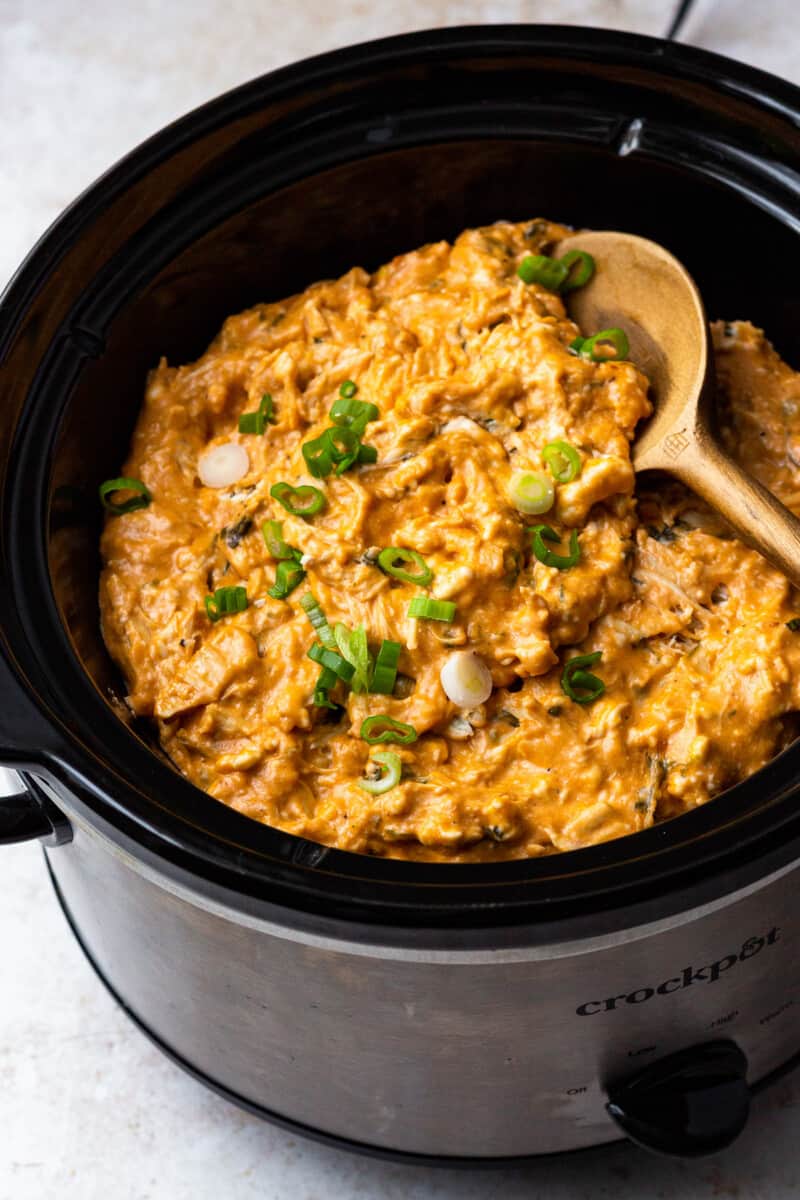 bbq chicken dip in crockpot