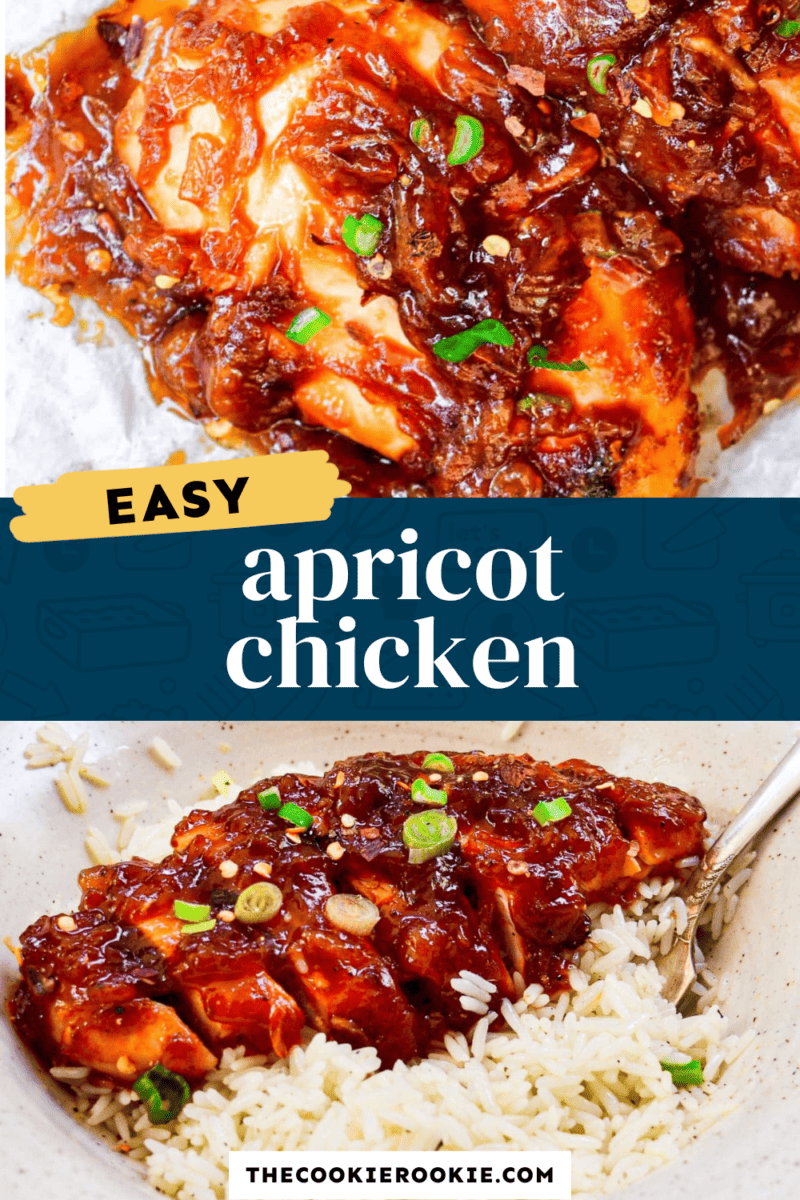 Easy apricot chicken with rice and sauce.