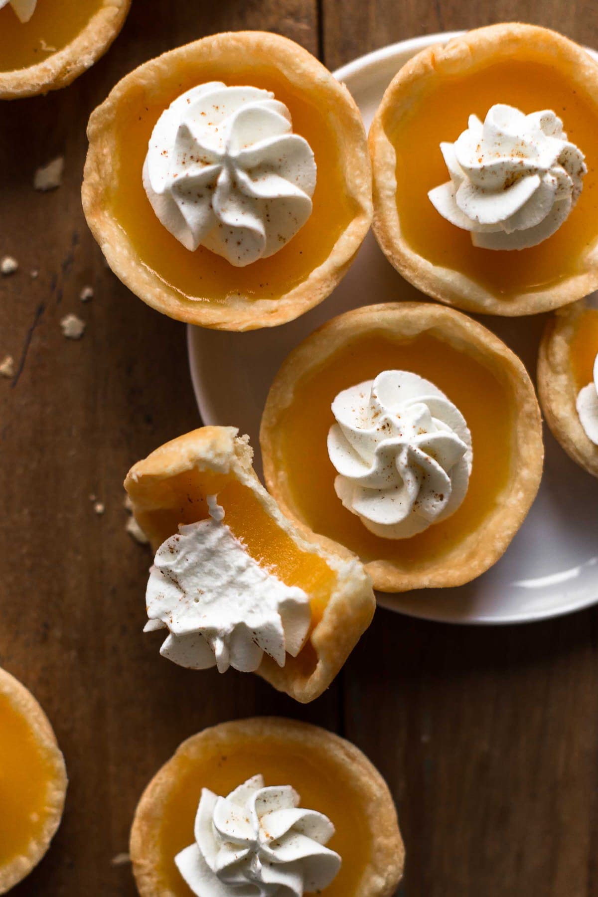 Pumpkin Pie Jello Shot Recipe - Halloween Jello Shots {VIDEO}