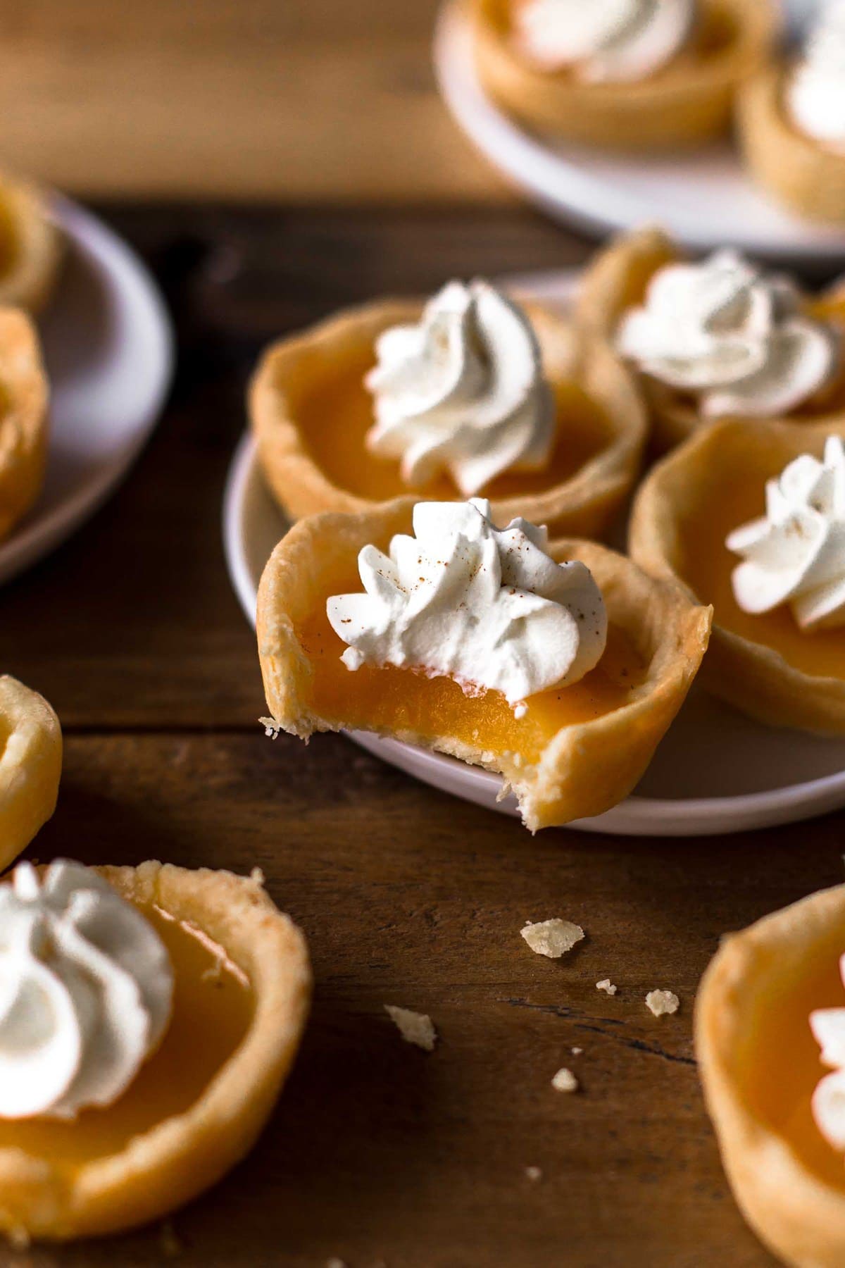 Pumpkin Pie Jello Shots! BEST THING EVER! These are so cute and delicious! - The Cookie Rookie