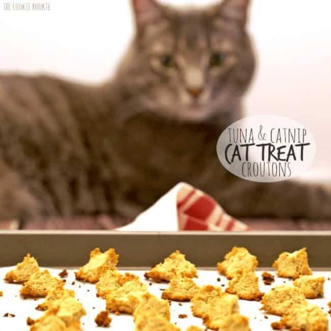 Homemade Salmon and Catnip Cat Treats The Cookie Rookie