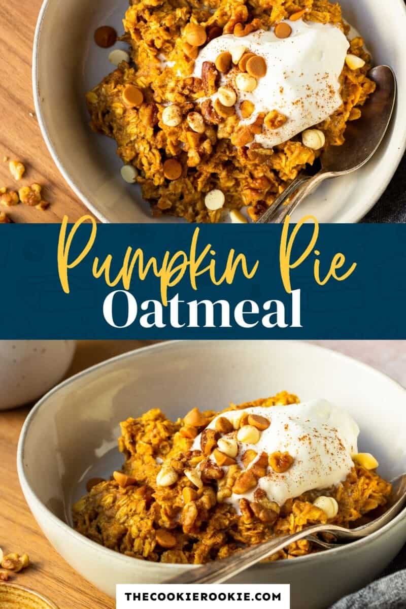 Easy Pumpkin Oatmeal (Pumpkin Pie Microwave Oatmeal) Recipe - The ...