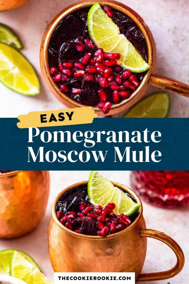 pomegranate moscow mule pinterest