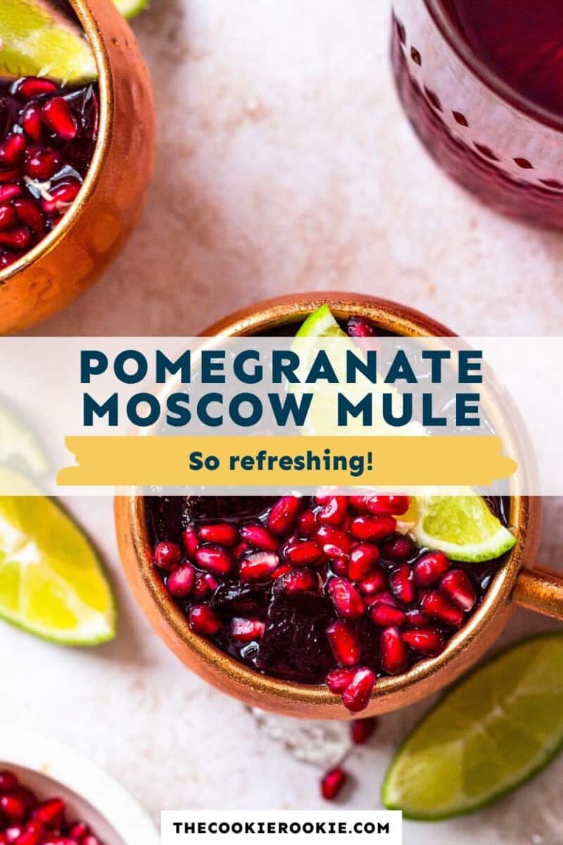 Pomegranate Moscow Mule Recipe - The Cookie Rookie®