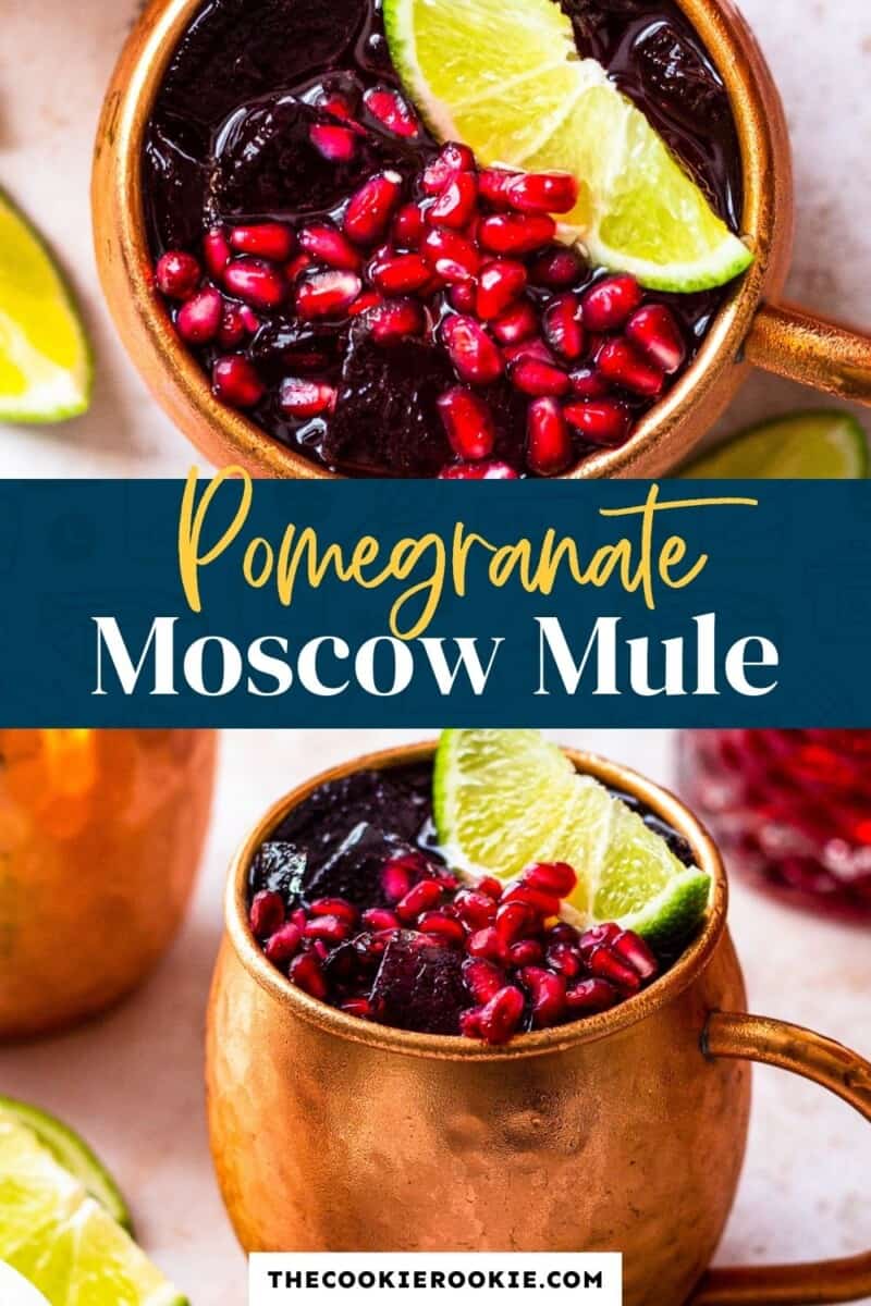 pomegranate moscow mule pinterest