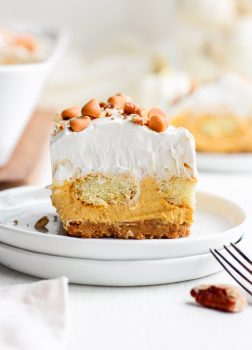 Pumpkin Pie Dessert Lasagna is a fun twist on a Thanksgiving classic! This sweet pumpkin lasagna recipe is made up of layers of pumpkin pie, whipped cream, and lady fingers. Utterly delicious! Add this easy Thanksgiving dessert recipe to your holiday table.