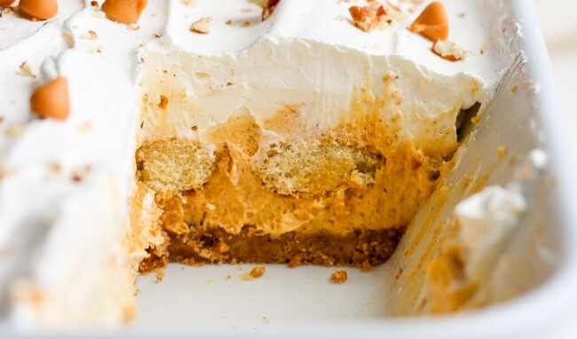 pumpkin pie lasagna