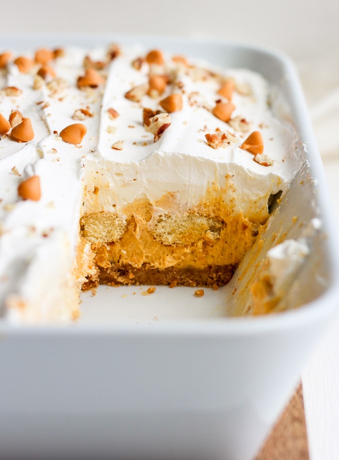 pumpkin pie dessert lasagna
