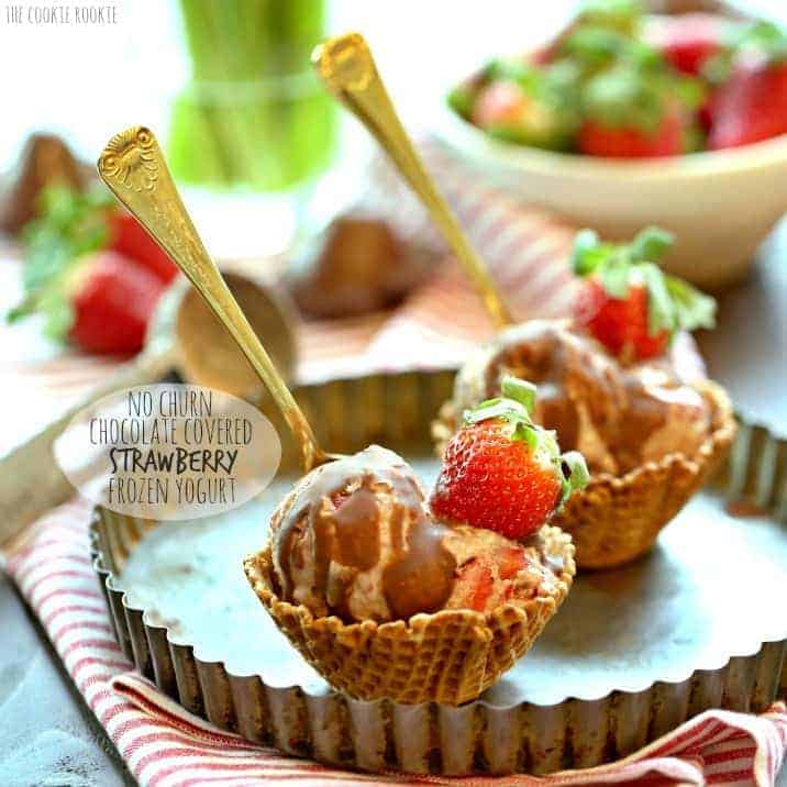 no churn chocolate covered strawberry frozen yogurt