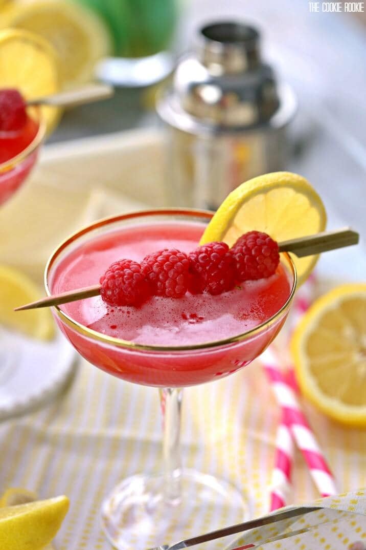 martini garnished with raspberries and lemon slices