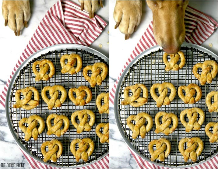 oat and apple pretzel dog terats on pan with paws in the side of the picture