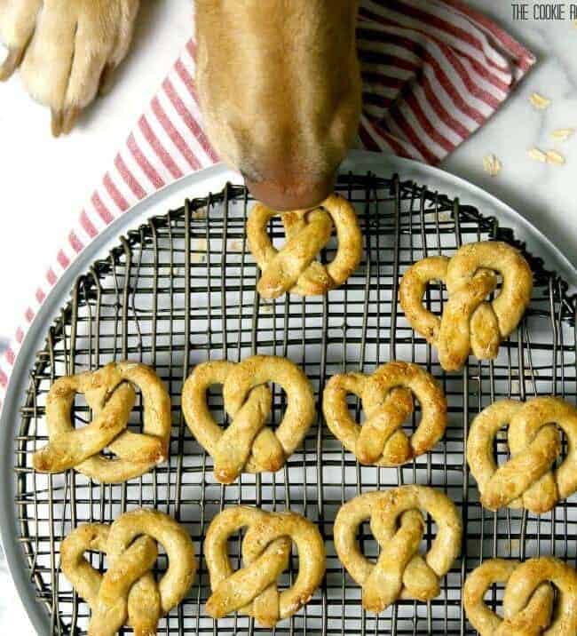 Oat and Apple Pretzel Dog Treats! ONLY FOUR INGREDIENTS! These smell good, are easy, and will make your pup's life very happy!