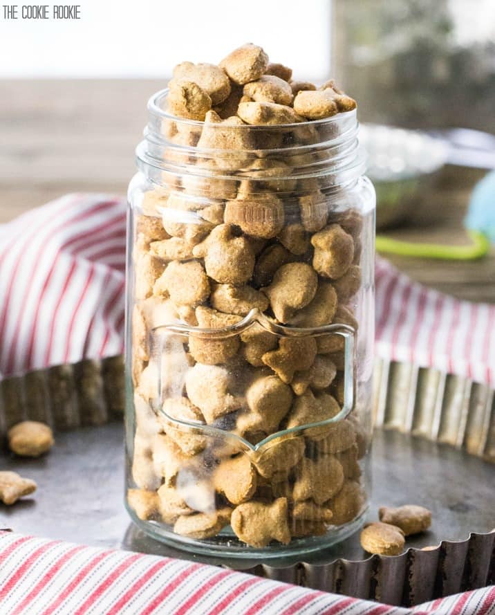 Homemade Cat Treats Recipe 3 Ingredient Salmon Cat Treats Homemade Cat Treats Recipe 3 Ingredient Salmon Cat Treats