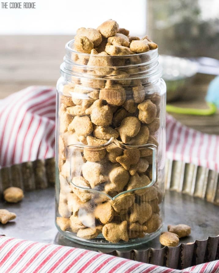 a mason jar filled up with salmon cat treats in the shape of goldfish