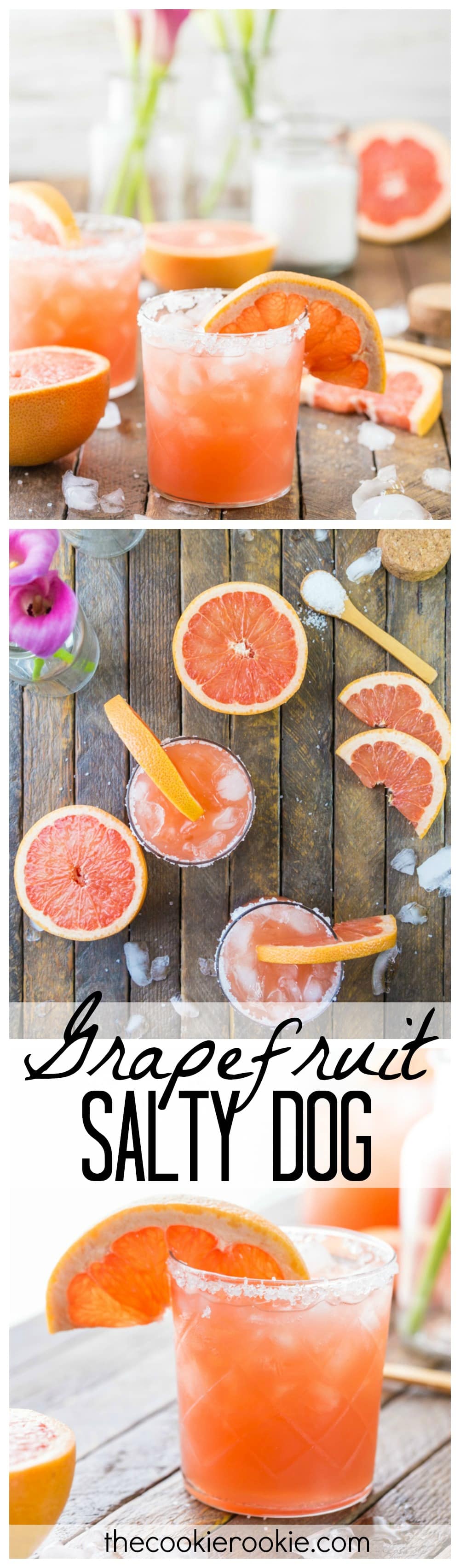 Grapefruit Salty Dog Recipe The Cookie Rookie®