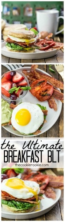 The Ultimate Breakfast BLT! An English muffin loaded with roasted tomatoes, crispy bacon, fresh lettuce, THE BEST fried egg, and creamy avocado mayo. THE BEST BREAKFAST SANDWICH ever!