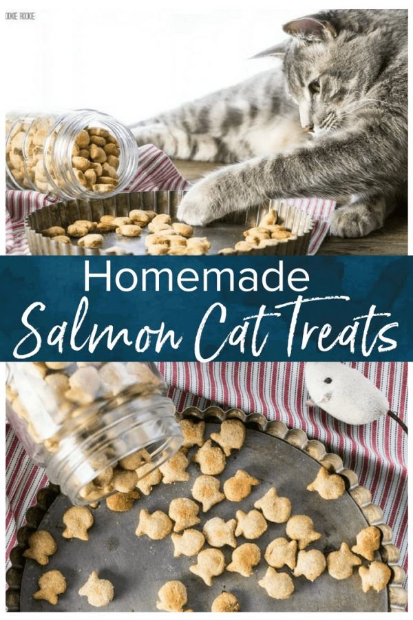 Homemade cat treats are a fun way to show your cats how much you love them! This fish-shaped 3 ingredient salmon cat treat recipe will be a hit with your cat babies. Featured in Family Circle.