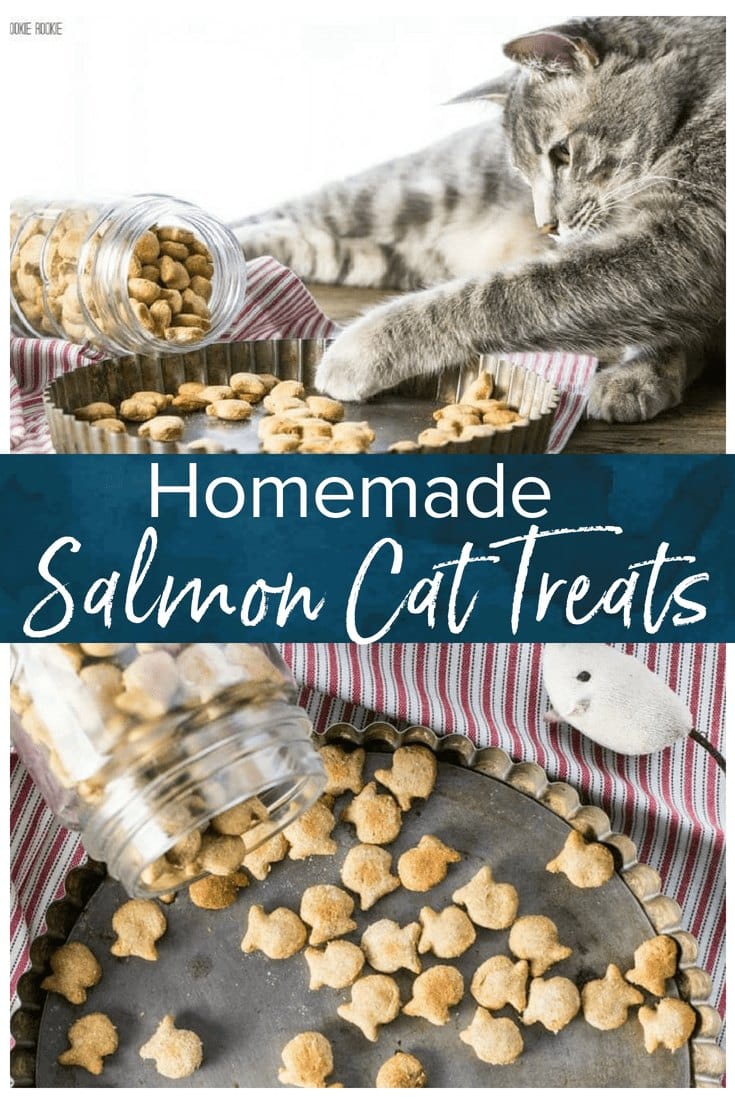 Homemade Cat Treats Recipe 3 Ingredient Salmon Cat Treats