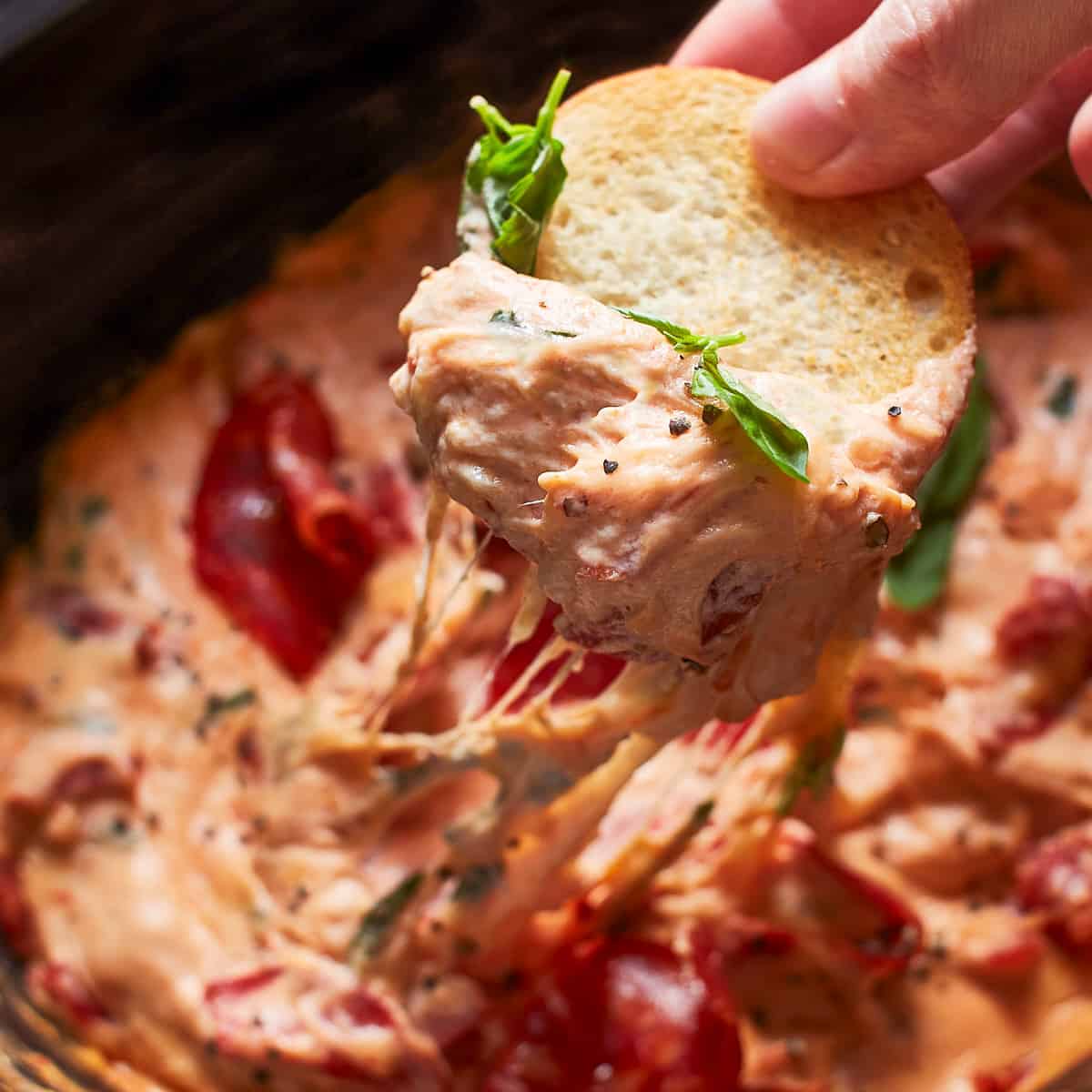 Crock Pot Pizza Dip