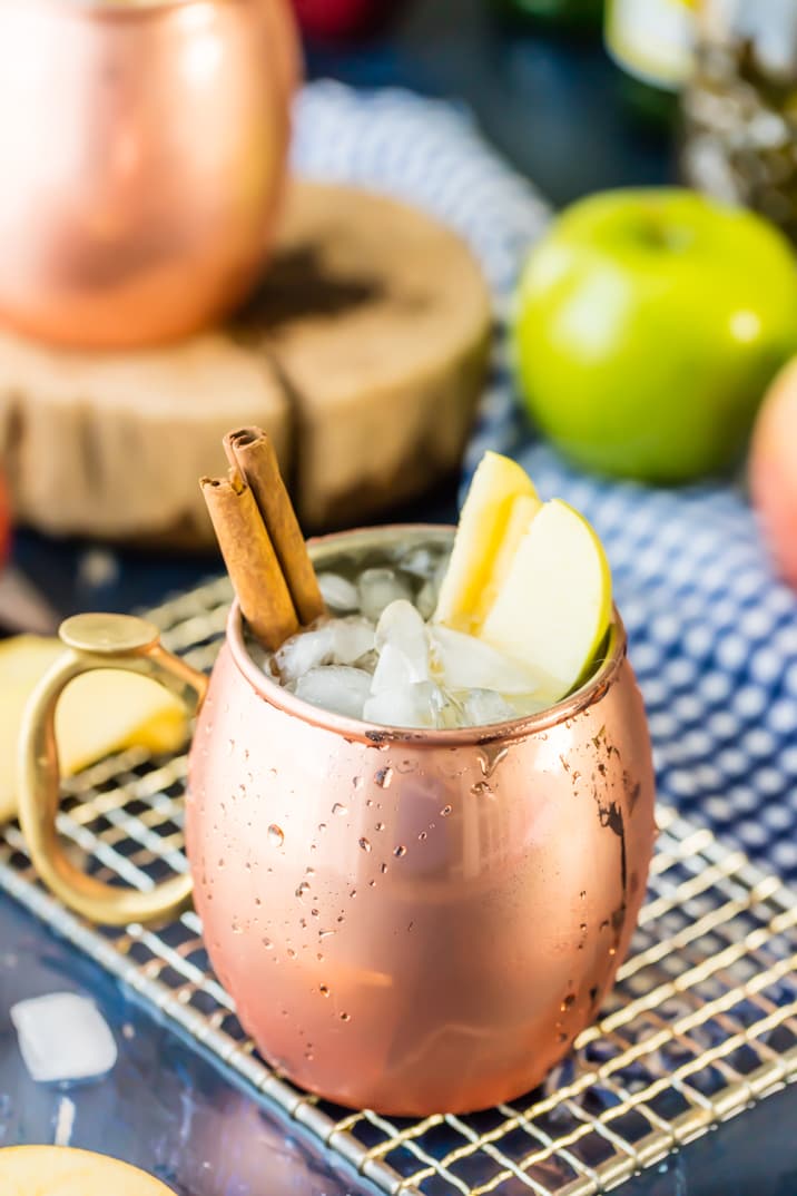 a copper mug with ice, cinnamon sticks, and sliced apples