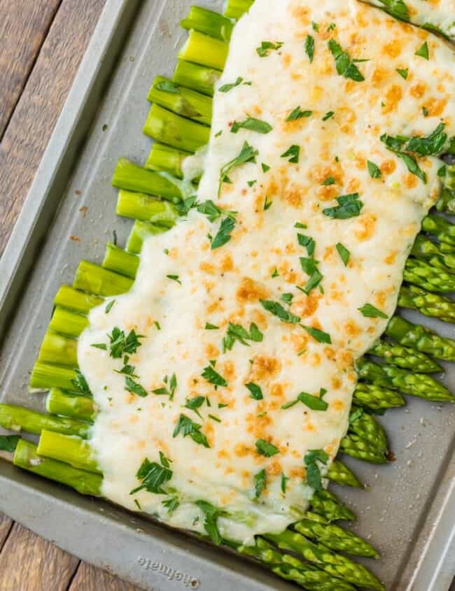 Three Cheese Asparagus Gratin; Asparagus under a creamy blanket of cheese. What could be better?? The perfect EASY Thanksgiving side dish!