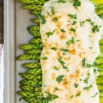 Three Cheese Asparagus Gratin