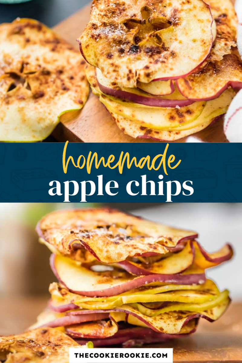 Homemade microwave apple chips.